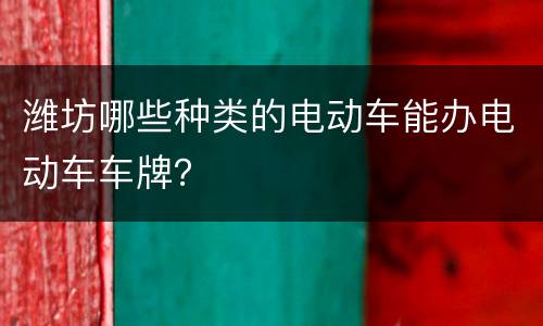 潍坊哪些种类的电动车能办电动车车牌？