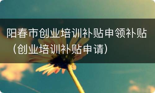 阳春市创业培训补贴申领补贴（创业培训补贴申请）