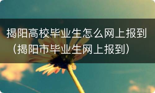 揭阳高校毕业生怎么网上报到（揭阳市毕业生网上报到）