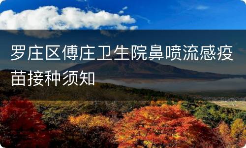 罗庄区傅庄卫生院鼻喷流感疫苗接种须知