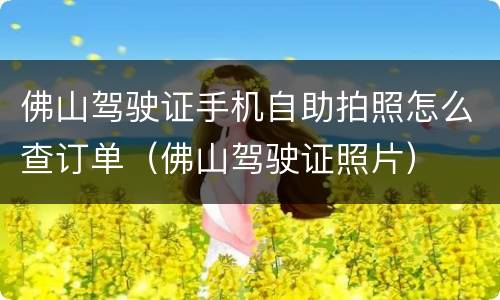 佛山驾驶证手机自助拍照怎么查订单（佛山驾驶证照片）