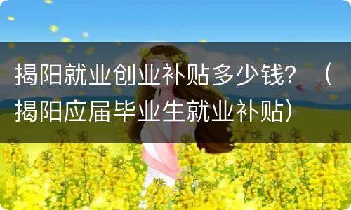 揭阳就业创业补贴多少钱？（揭阳应届毕业生就业补贴）
