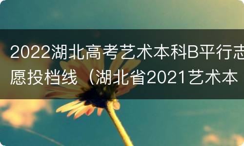 2022湖北高考艺术本科B平行志愿投档线（湖北省2021艺术本科B录取分数线）