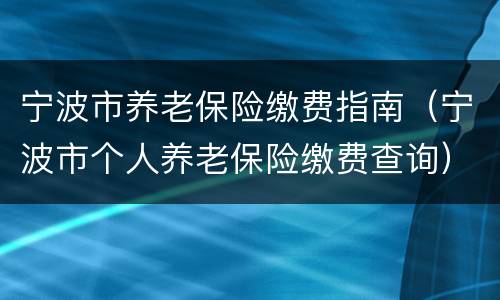 宁波市养老保险缴费指南（宁波市个人养老保险缴费查询）