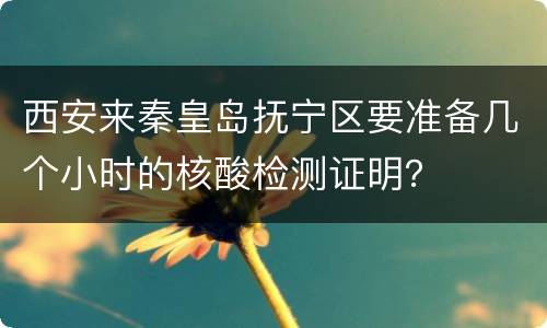 西安来秦皇岛抚宁区要准备几个小时的核酸检测证明？