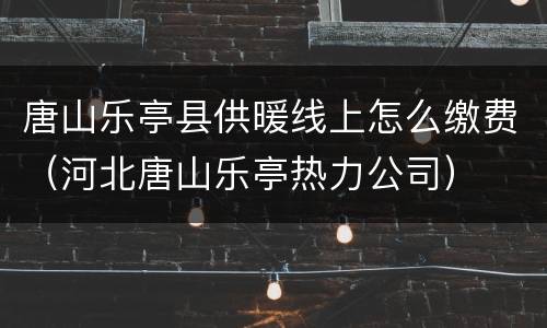 唐山乐亭县供暖线上怎么缴费（河北唐山乐亭热力公司）