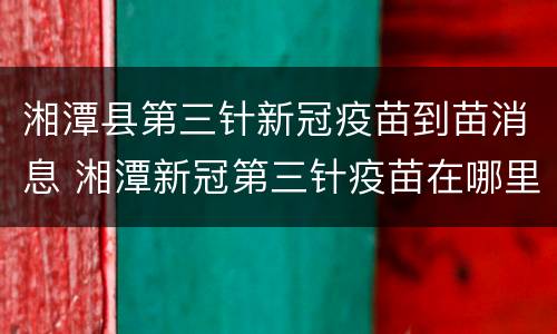 湘潭县第三针新冠疫苗到苗消息 湘潭新冠第三针疫苗在哪里打