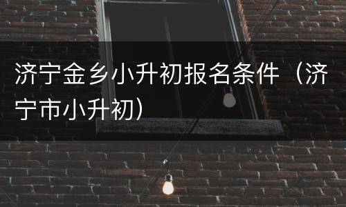 济宁金乡小升初报名条件（济宁市小升初）