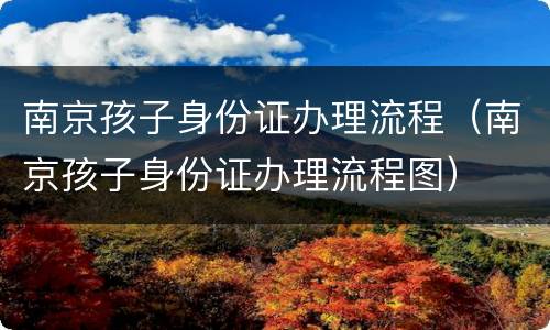 南京孩子身份证办理流程（南京孩子身份证办理流程图）