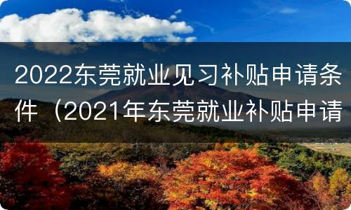 2022东莞就业见习补贴申请条件（2021年东莞就业补贴申请成功）