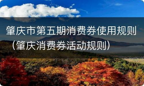 肇庆市第五期消费券使用规则（肇庆消费券活动规则）
