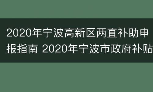 2020年宁波高新区两直补助申报指南 2020年宁波市政府补贴政策