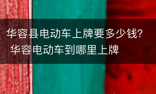 华容县电动车上牌要多少钱？ 华容电动车到哪里上牌