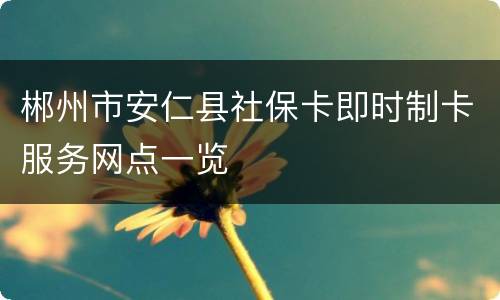 郴州市安仁县社保卡即时制卡服务网点一览