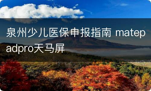 泉州少儿医保申报指南 matepadpro天马屏