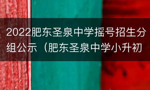 2022肥东圣泉中学摇号招生分组公示（肥东圣泉中学小升初招生2020电话号码）