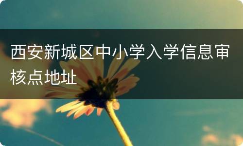西安新城区中小学入学信息审核点地址