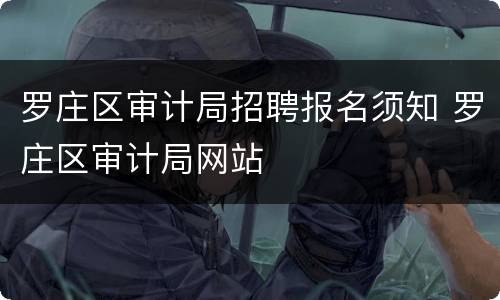 罗庄区审计局招聘报名须知 罗庄区审计局网站