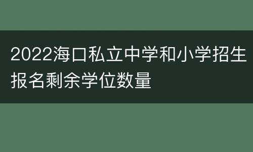 2022海口私立中学和小学招生报名剩余学位数量