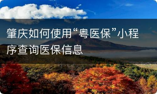 肇庆如何使用“粤医保”小程序查询医保信息