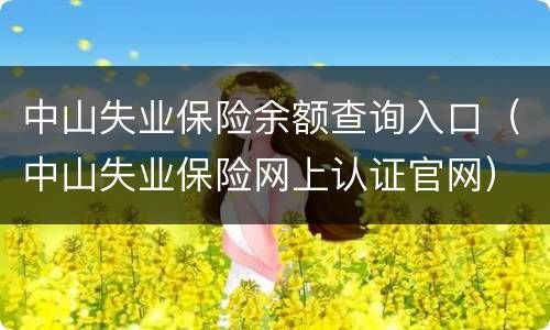 中山失业保险余额查询入口（中山失业保险网上认证官网）