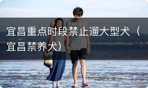 宜昌重点时段禁止遛大型犬（宜昌禁养犬）