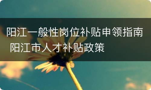 阳江一般性岗位补贴申领指南 阳江市人才补贴政策