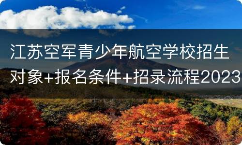 江苏空军青少年航空学校招生对象+报名条件+招录流程2023