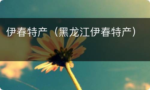 伊春特产（黑龙江伊春特产）