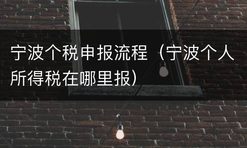 宁波个税申报流程（宁波个人所得税在哪里报）