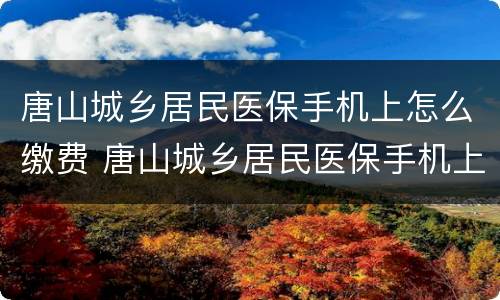 唐山城乡居民医保手机上怎么缴费 唐山城乡居民医保手机上怎么缴费的