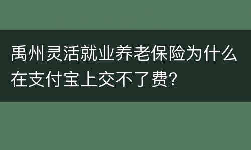禹州灵活就业养老保险为什么在支付宝上交不了费?