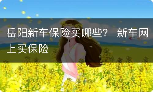 岳阳新车保险买哪些？ 新车网上买保险