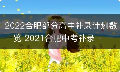 2022合肥部分高中补录计划数一览 2021合肥中考补录