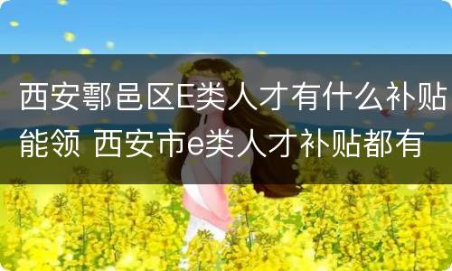 西安鄠邑区E类人才有什么补贴能领 西安市e类人才补贴都有什么