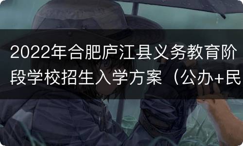 2022年合肥庐江县义务教育阶段学校招生入学方案（公办+民办）