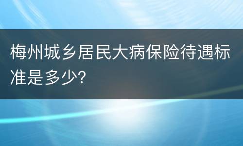 梅州城乡居民大病保险待遇标准是多少？