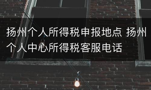 扬州个人所得税申报地点 扬州个人中心所得税客服电话