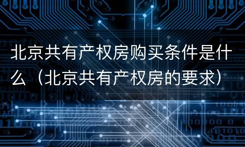 北京共有产权房购买条件是什么（北京共有产权房的要求）