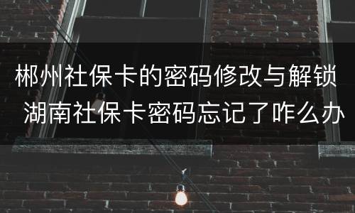 郴州社保卡的密码修改与解锁 湖南社保卡密码忘记了咋么办