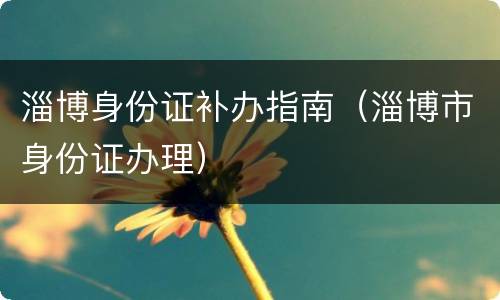淄博身份证补办指南（淄博市身份证办理）