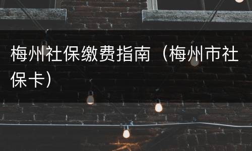 梅州社保缴费指南（梅州市社保卡）