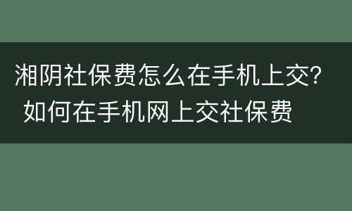 湘阴社保费怎么在手机上交？ 如何在手机网上交社保费