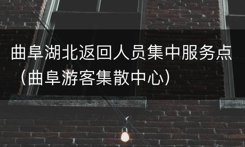 曲阜湖北返回人员集中服务点（曲阜游客集散中心）