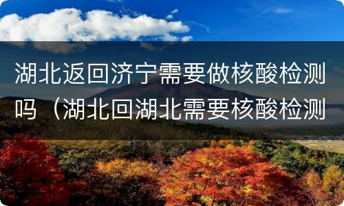 湖北返回济宁需要做核酸检测吗（湖北回湖北需要核酸检测吗）