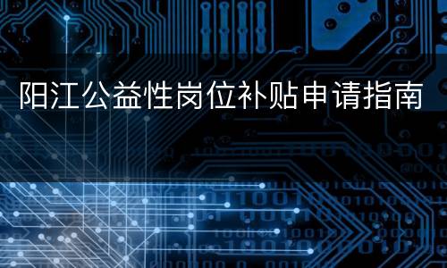 阳江公益性岗位补贴申请指南