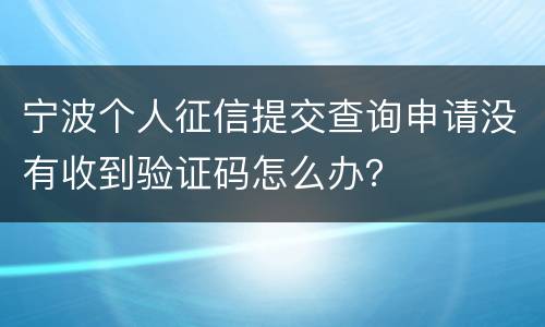 宁波个人征信提交查询申请没有收到验证码怎么办？