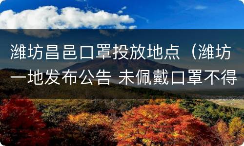 潍坊昌邑口罩投放地点（潍坊一地发布公告 未佩戴口罩不得进入各类场所）
