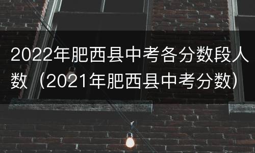 2022年肥西县中考各分数段人数（2021年肥西县中考分数）
