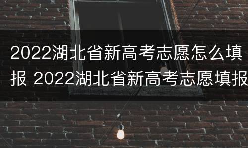 2022湖北省新高考志愿怎么填报 2022湖北省新高考志愿填报大数据参考